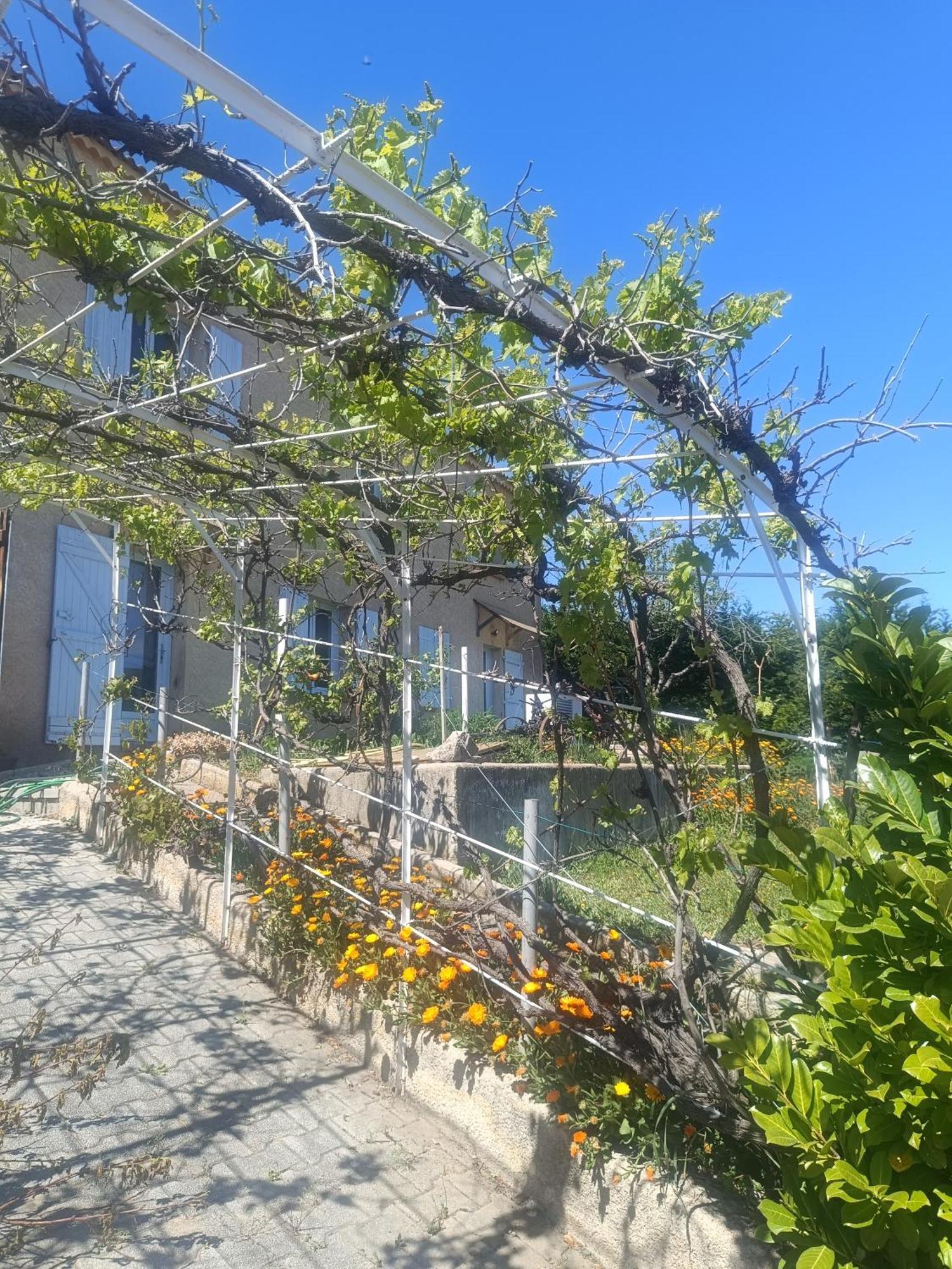 Hysope Apartment Chateau-Arnoux-Saint-Auban Exterior photo